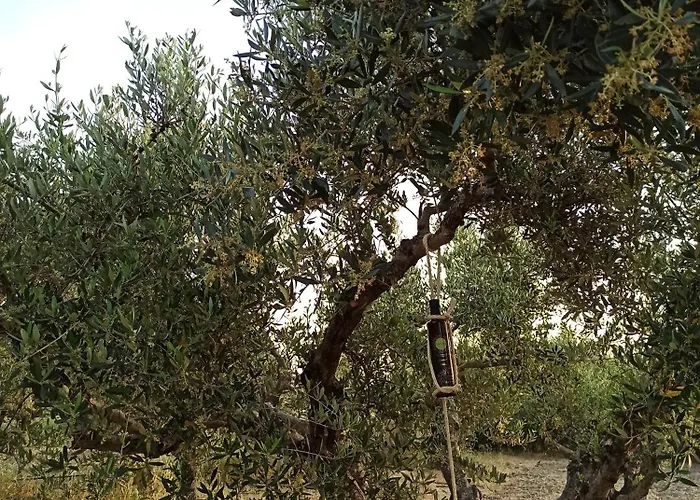 Kypseli Rhodes Appartamento Kremastí