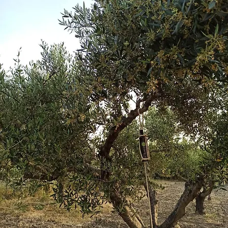 Kypseli Rhodes Apartmán Kremastí